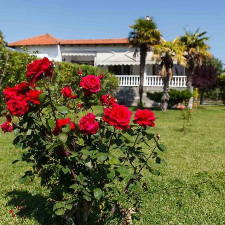 Seaside Villa Halkidiki Nea Iraklia Exterior foto