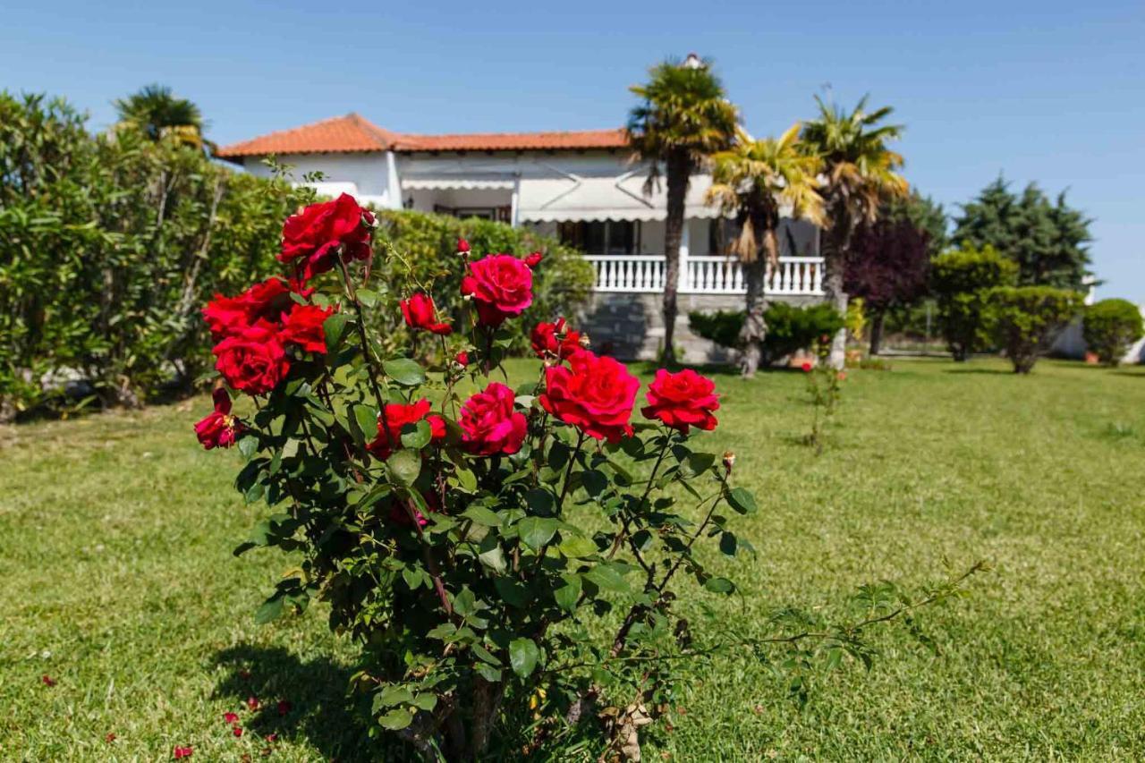 Seaside Villa Halkidiki Nea Iraklia Exterior foto