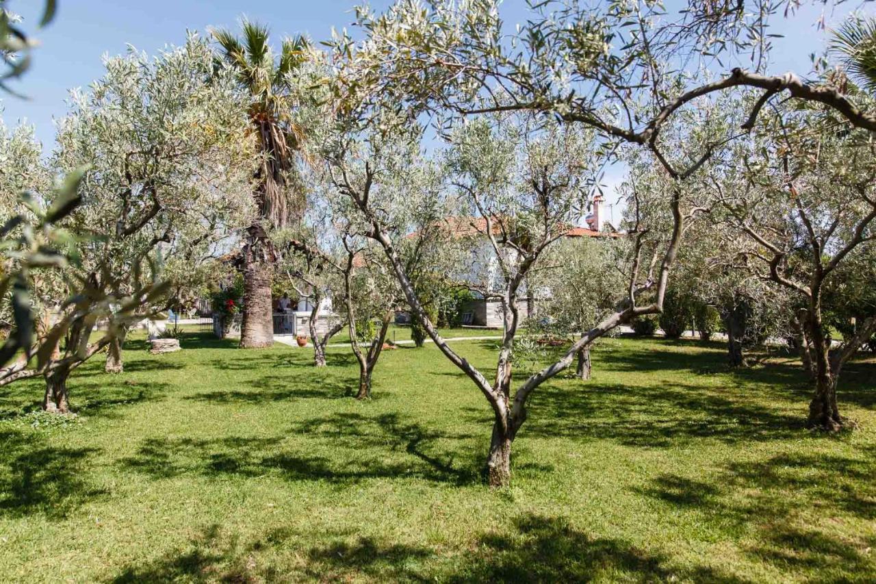 Seaside Villa Halkidiki Nea Iraklia Exterior foto